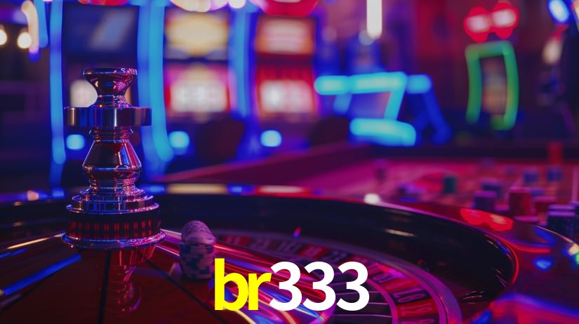 br333 App Interface